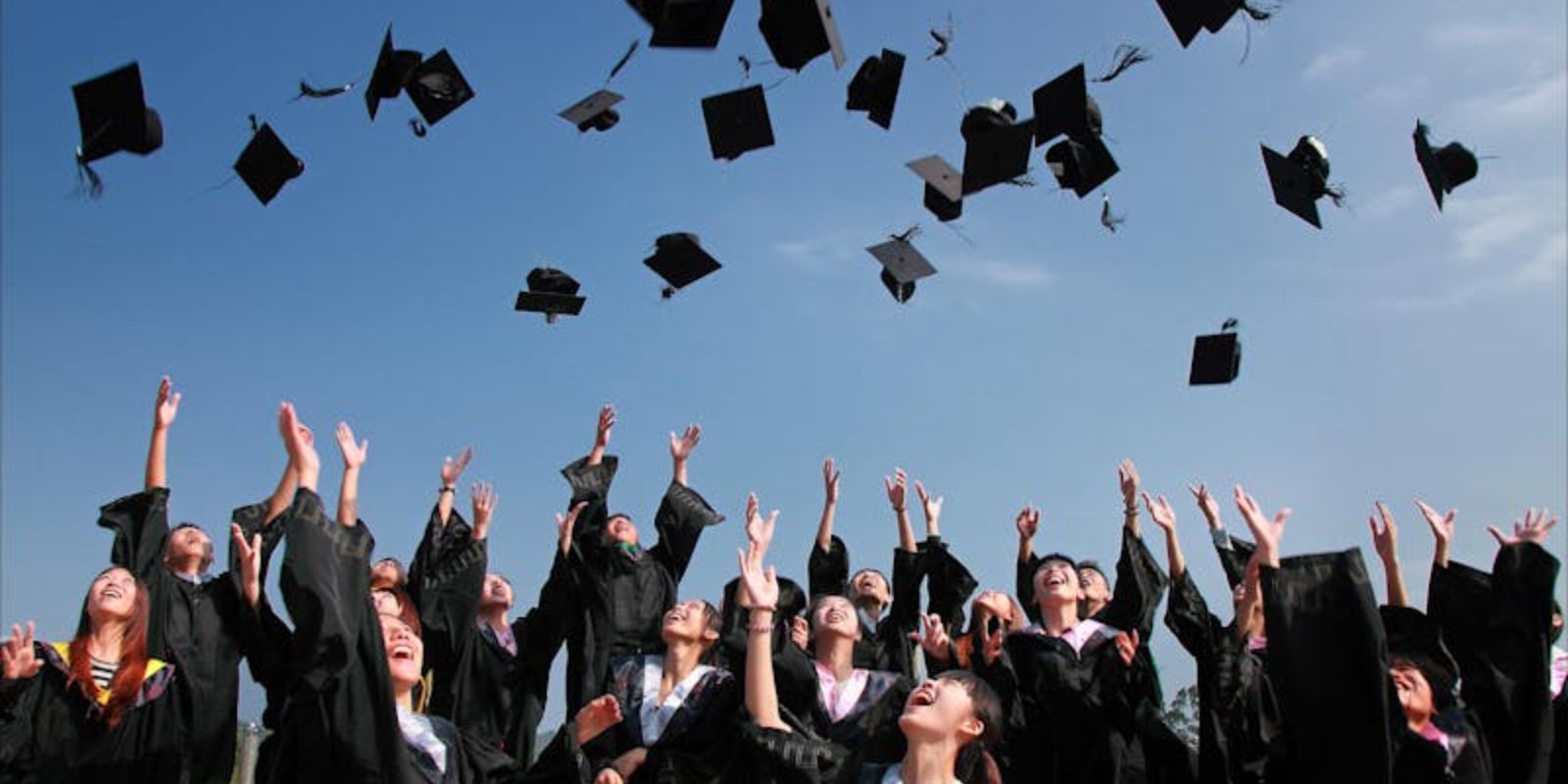 Newly Graduated People Wearing Black Academy Gowns Throwing Hats Up in the Air