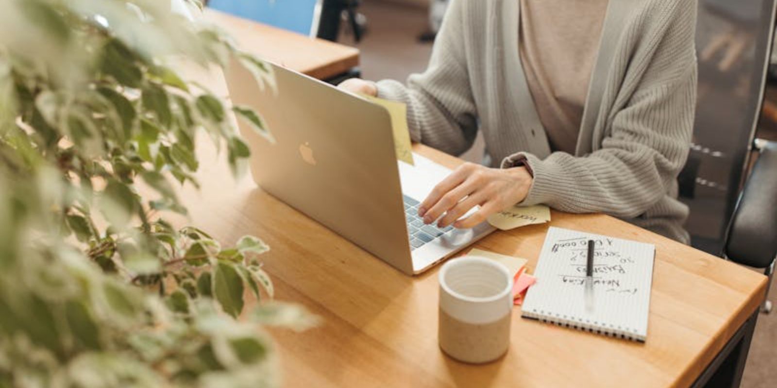 a person in front of the laptop